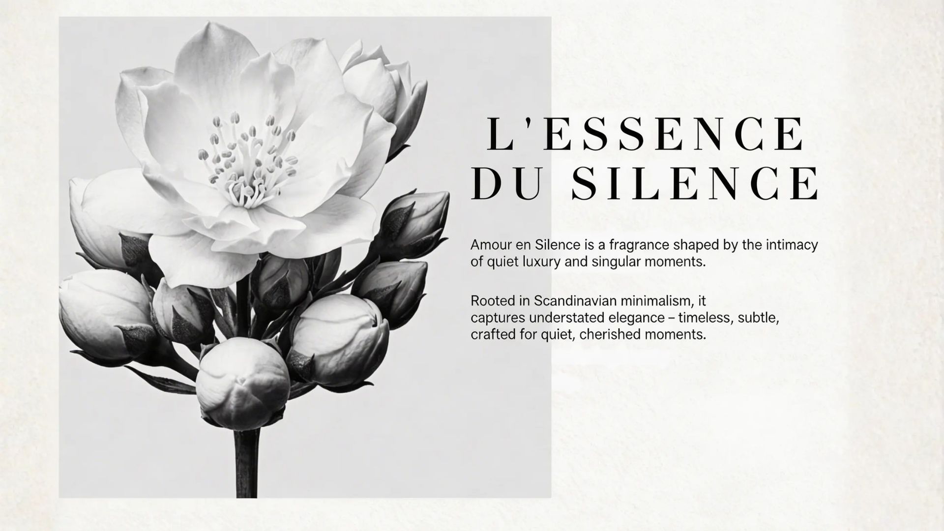 L'Essence du Silence, brand essence and fragrance story