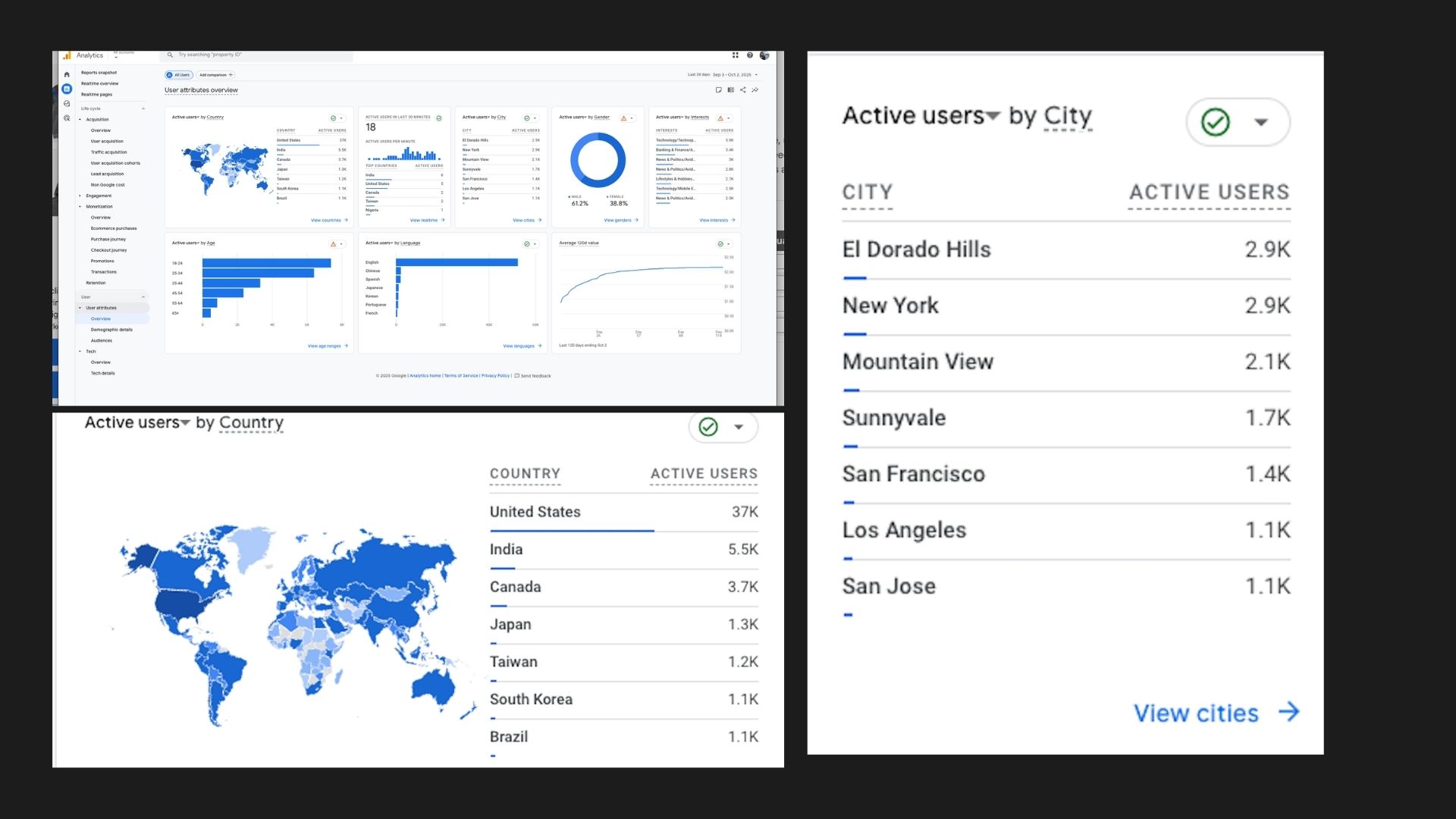 Google Analytics overview: active users by country and city